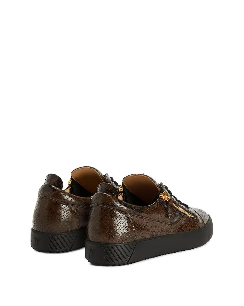 Giuseppe Zanotti Brown Trainers for men