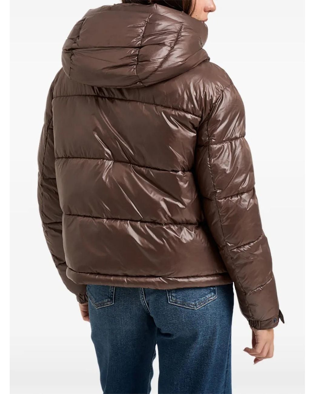 Blauer Brown Puffer Hooded Jacket