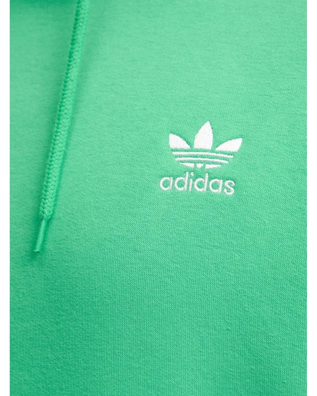 Adidas Green Trefoil Cotton Hoodie for men