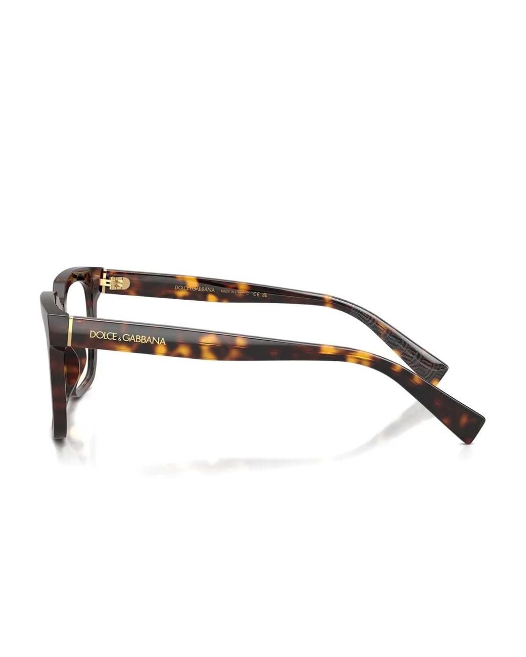 Dolce & Gabbana Brown Square-Frame Glasses for men