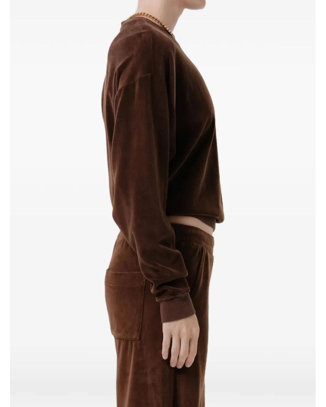 Citizens of Humanity Brown Vintage Plush Velour-Effect Sweatshirt