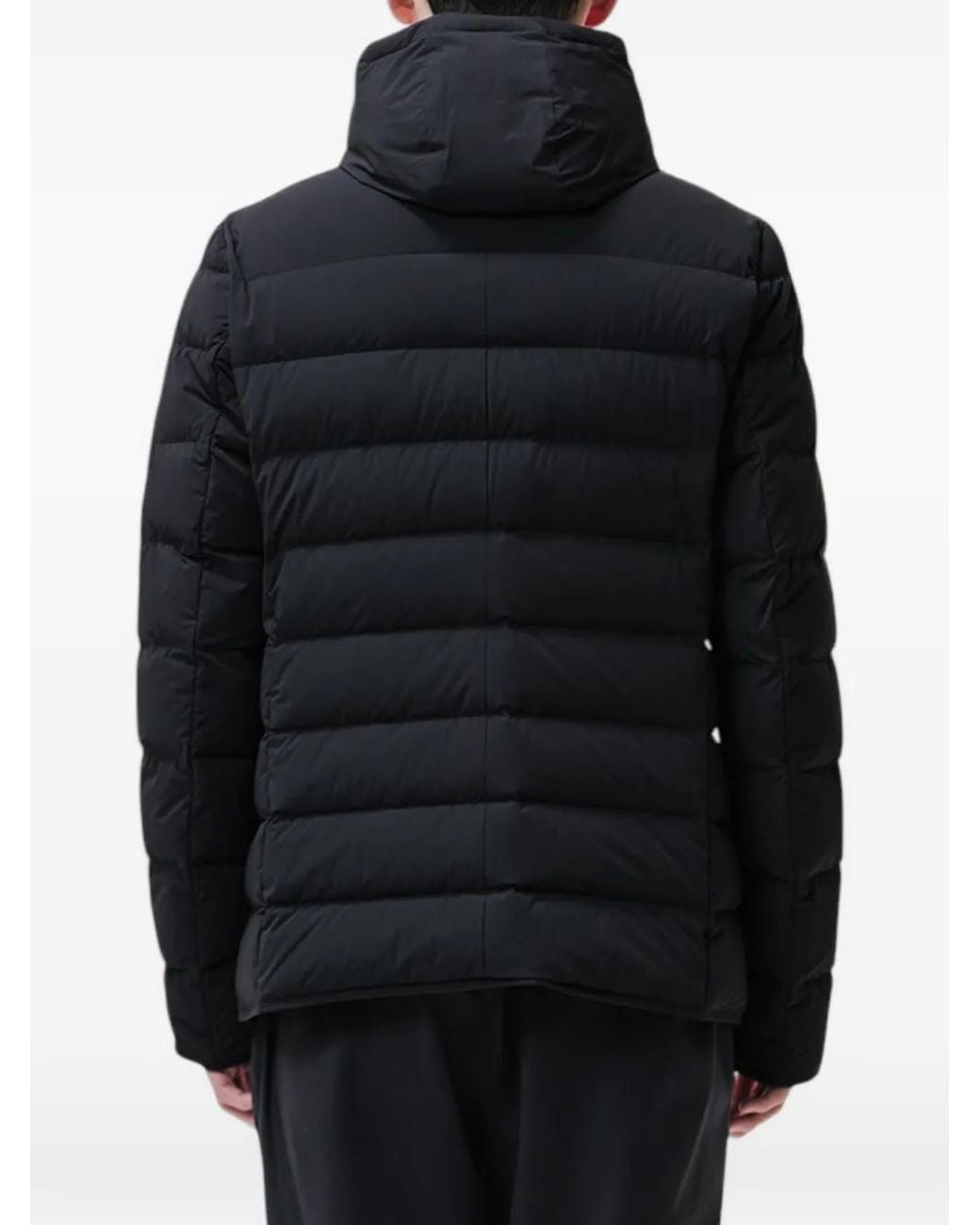 DUNO Blue Master H Hooded Padded Coat for men