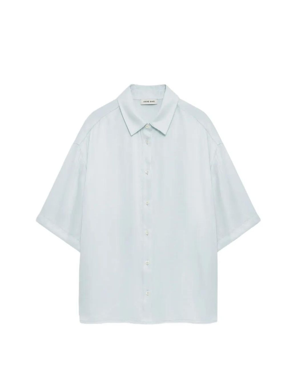 Camicia Coco di Anine Bing in Blue