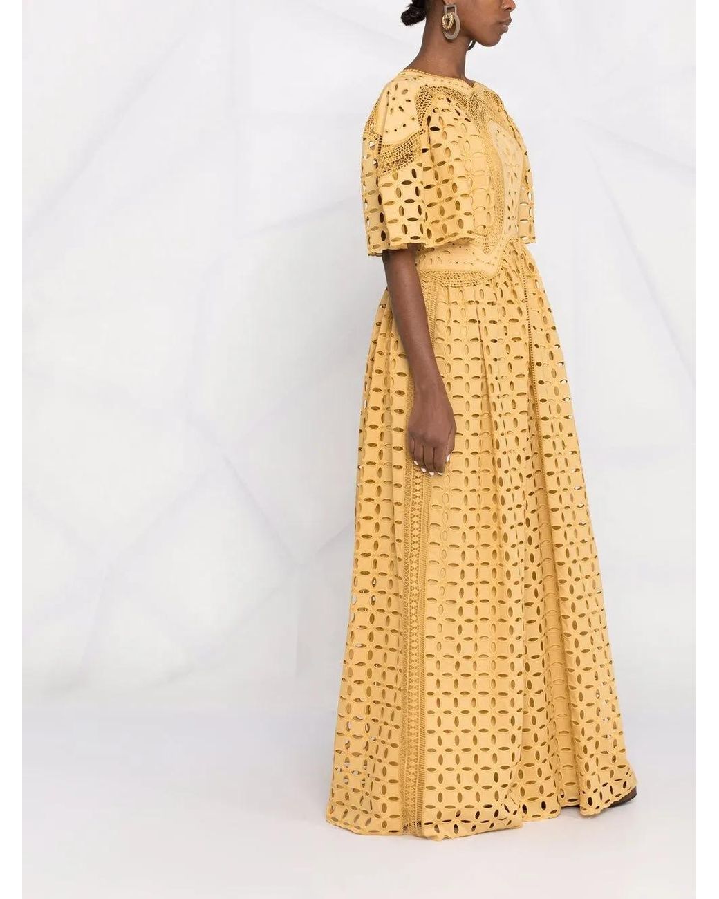 Alberta Ferretti Metallic Broderie Anglaise Maxi Dress