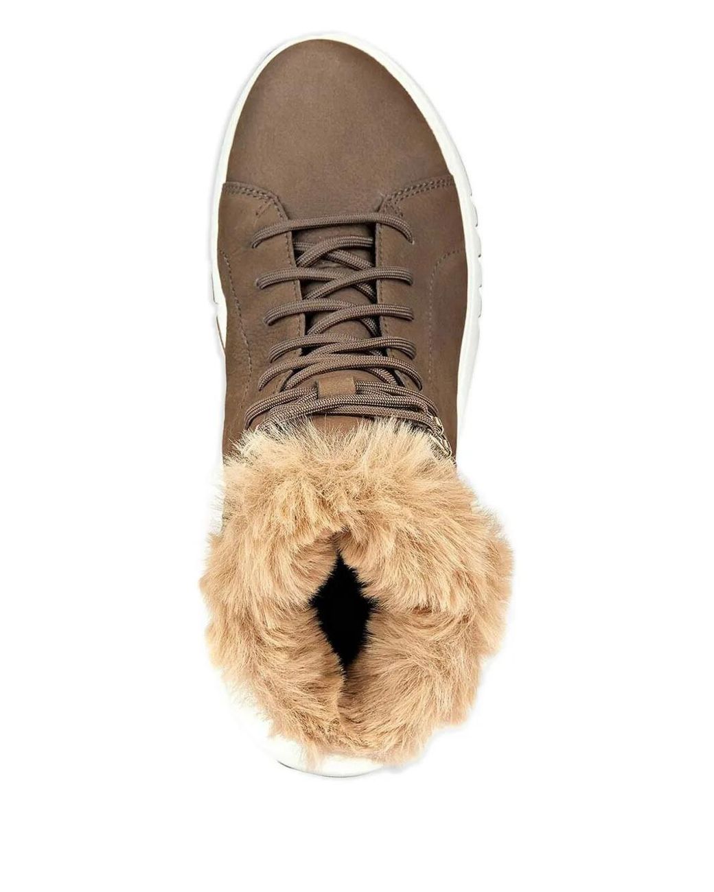 Geox Brown Trim-Detail Ankle Boots