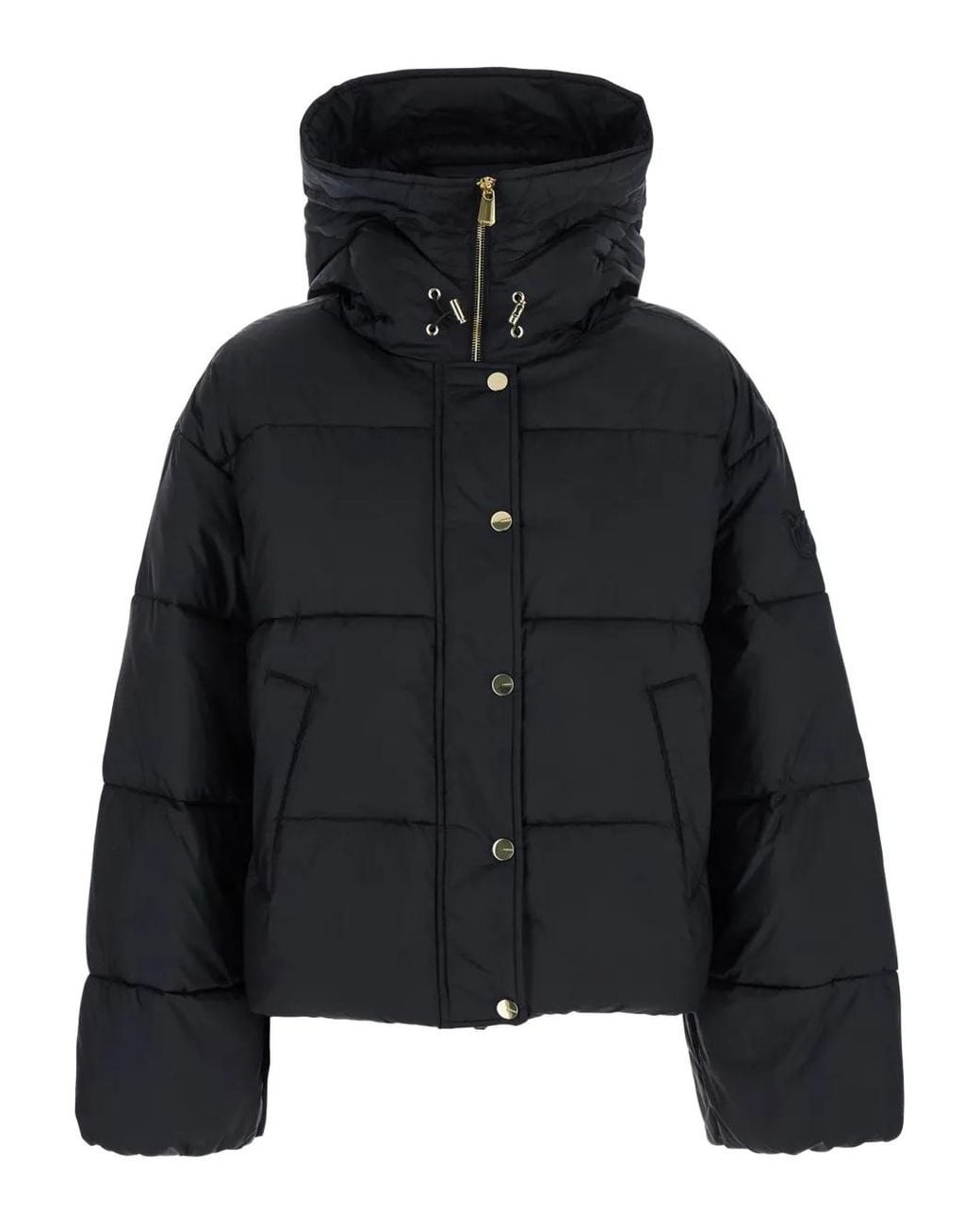 Pinko Black Down Jacket With Drawstring Hood And Logo Patch On The Sle