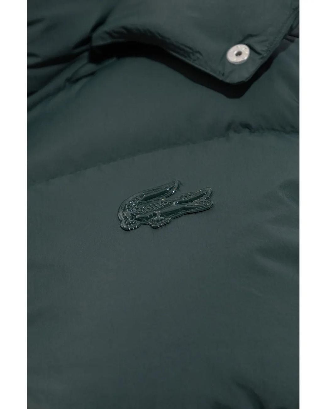 Plumífero Con Capucha Lacoste de color Green