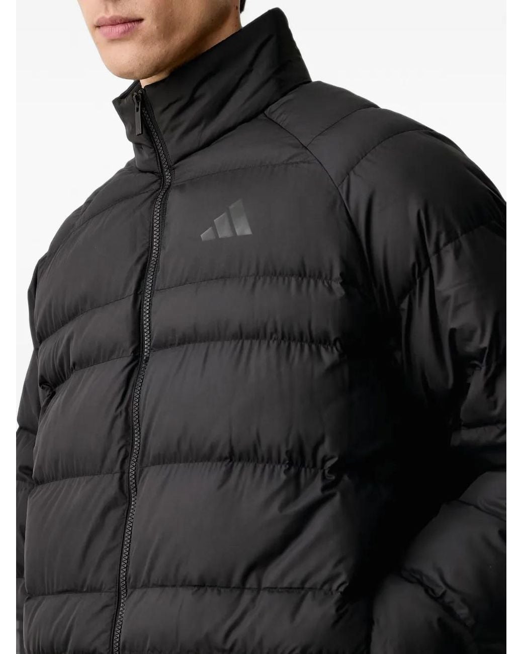 Adidas Black Essentials Packable Insulated Jacket for men
