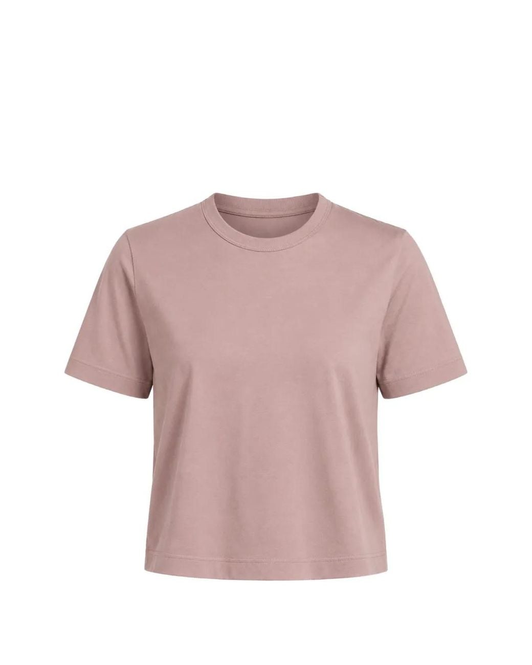 Arlo Mott Pink Willow T-Shirt