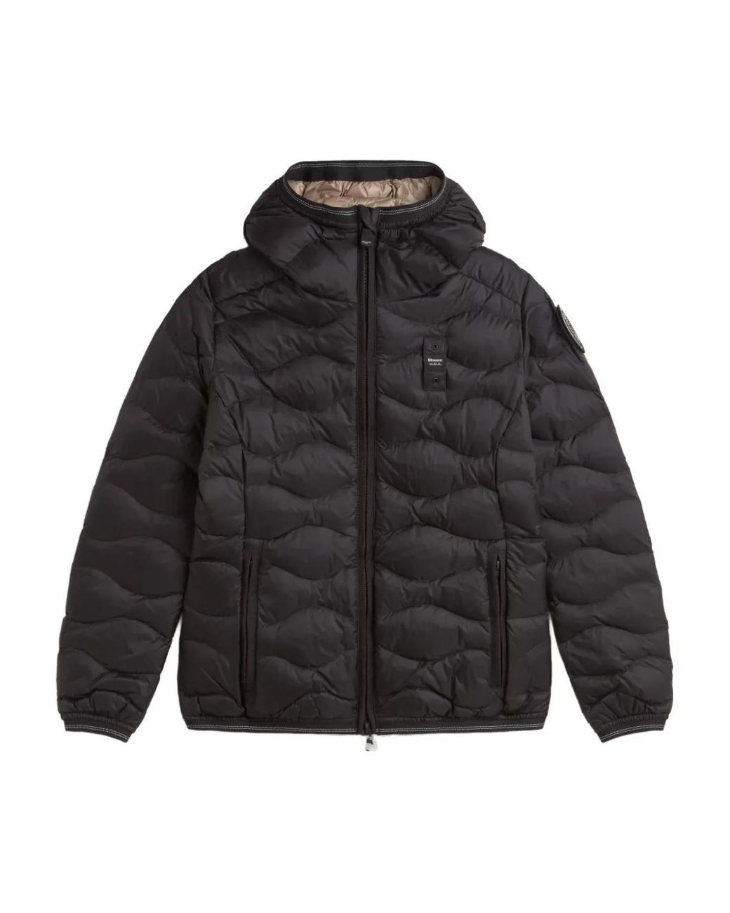 Doudoune À Capuche Blauer en coloris Black