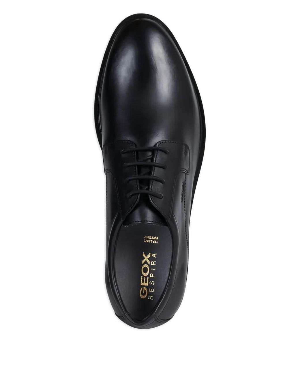 Geox Black Gladwin Lace-Up Leather Shoes for men