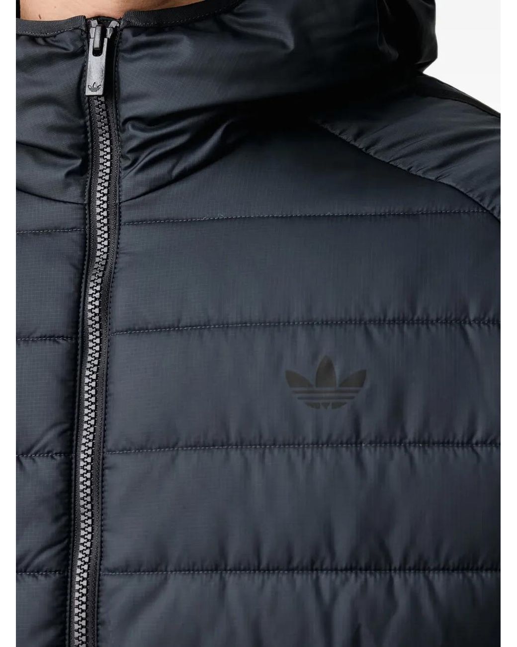 Adidas Black Doudoune À Capuche for men