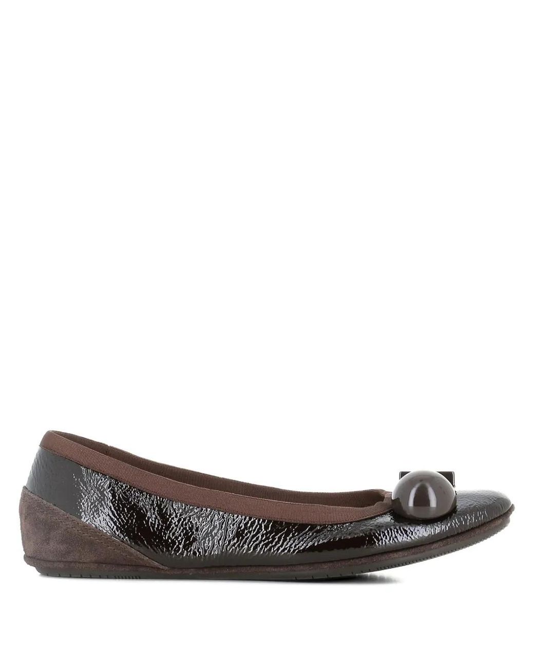 Dove Nuotano Gli Squali Brown Where Sharks Swim Becky Ballet Flats