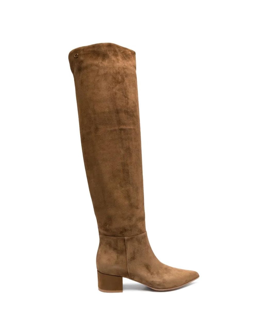 Gianvito Rossi Brown Pointed-Toe Boots