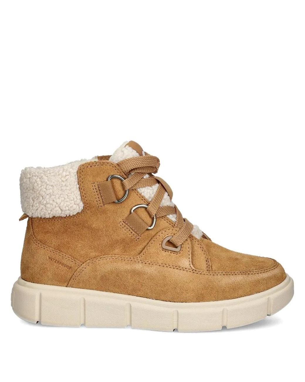 Sorel Brown Explorer Iii Nw Boots