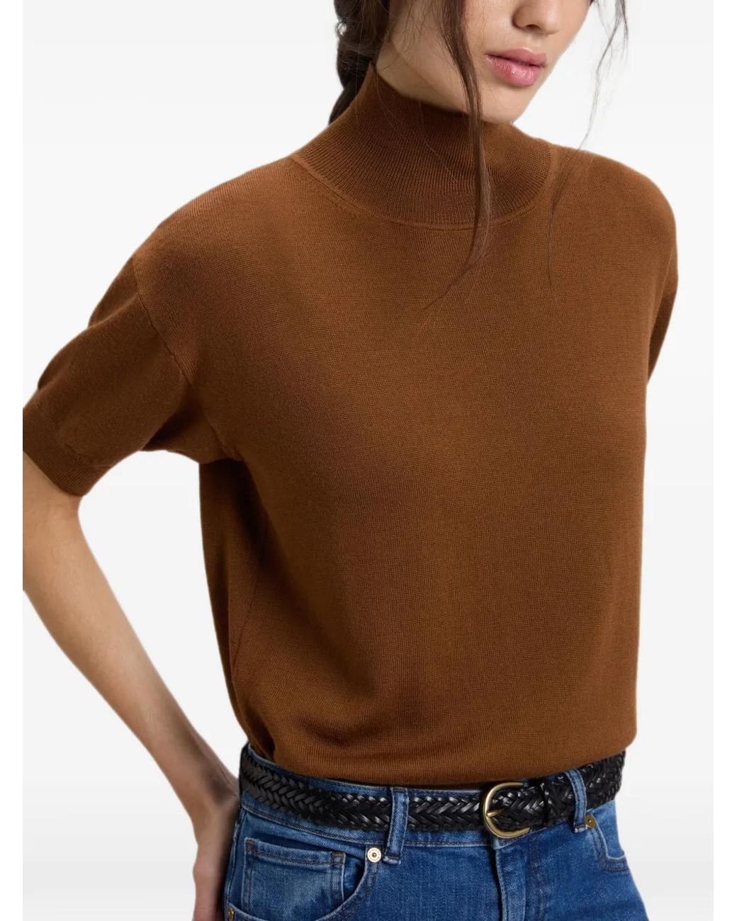 Woolrich Brown High-Neck Short-Sleeve Sweater