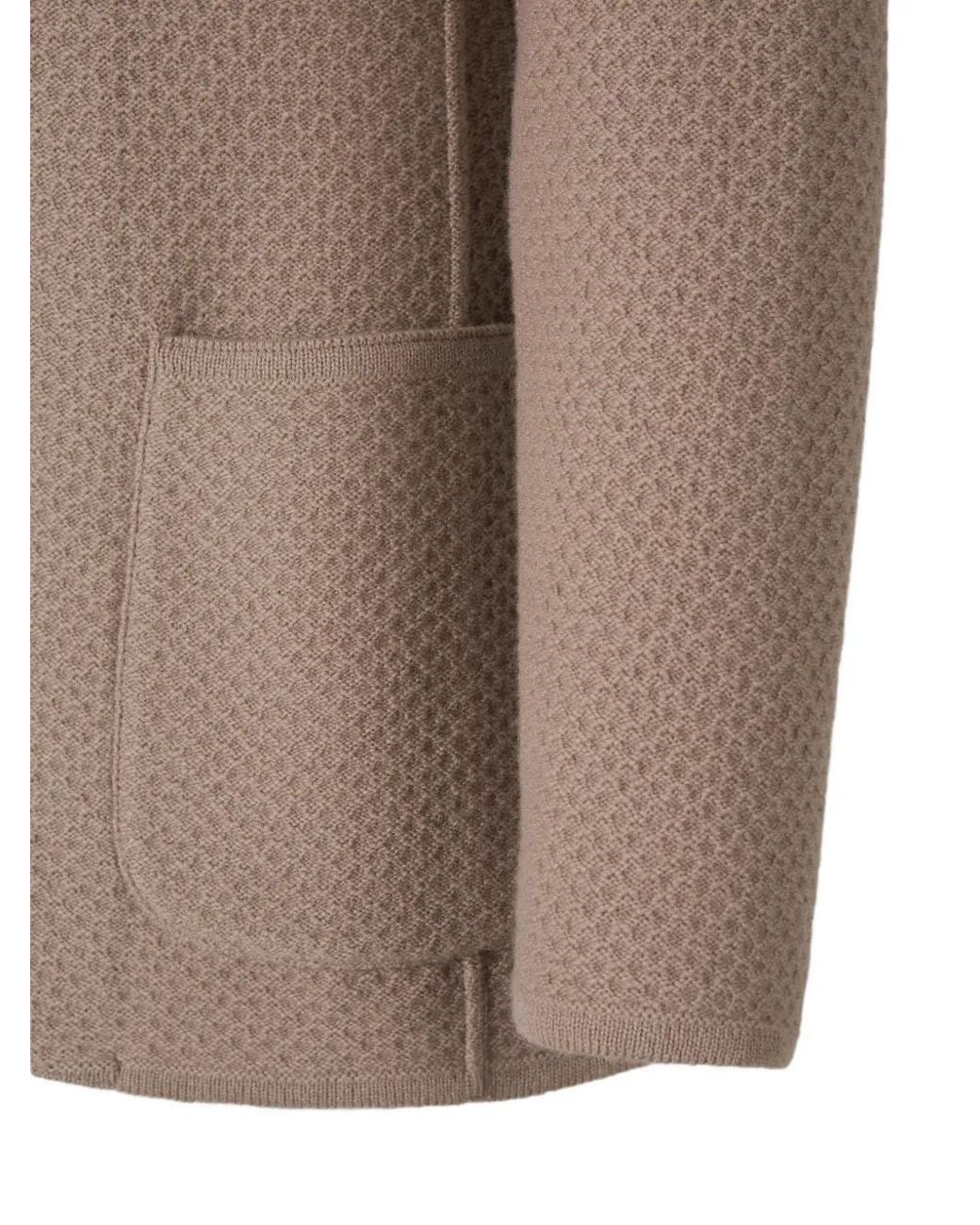 Lardini Brown Textured Single-Breasted Blazer for men