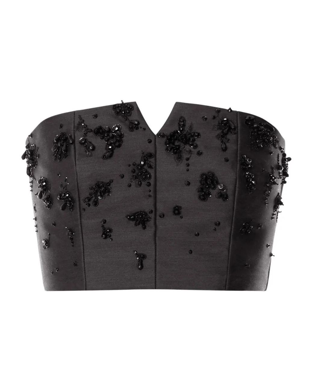 Alberta Ferretti Verfraaide Top in het Black