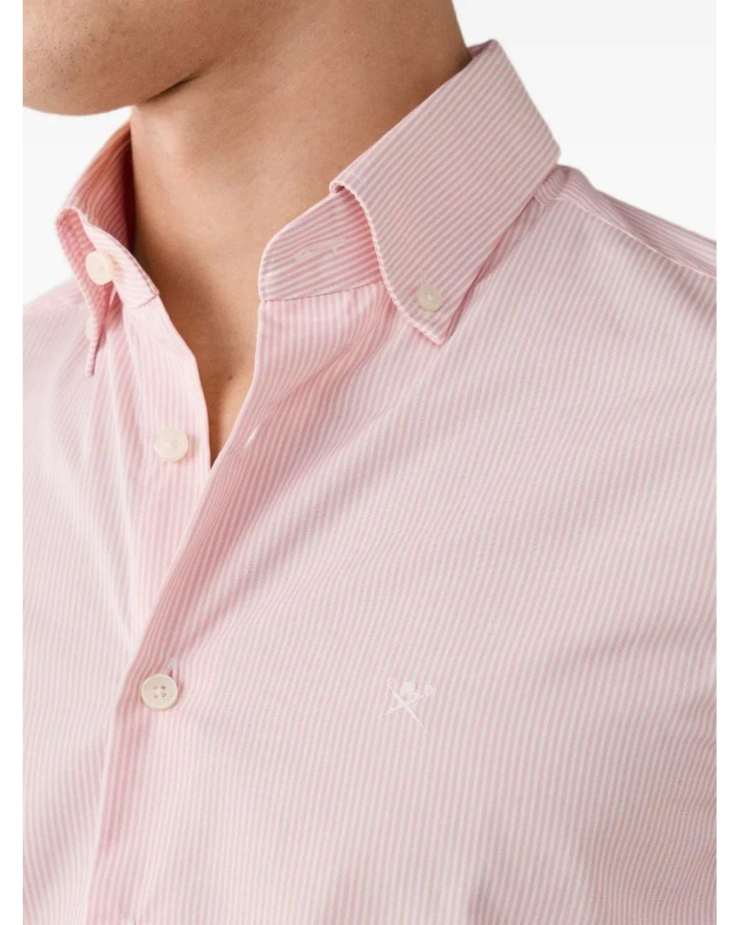 Camicia City Deck Con Colletto Button-Down di Hackett in Pink da Uomo