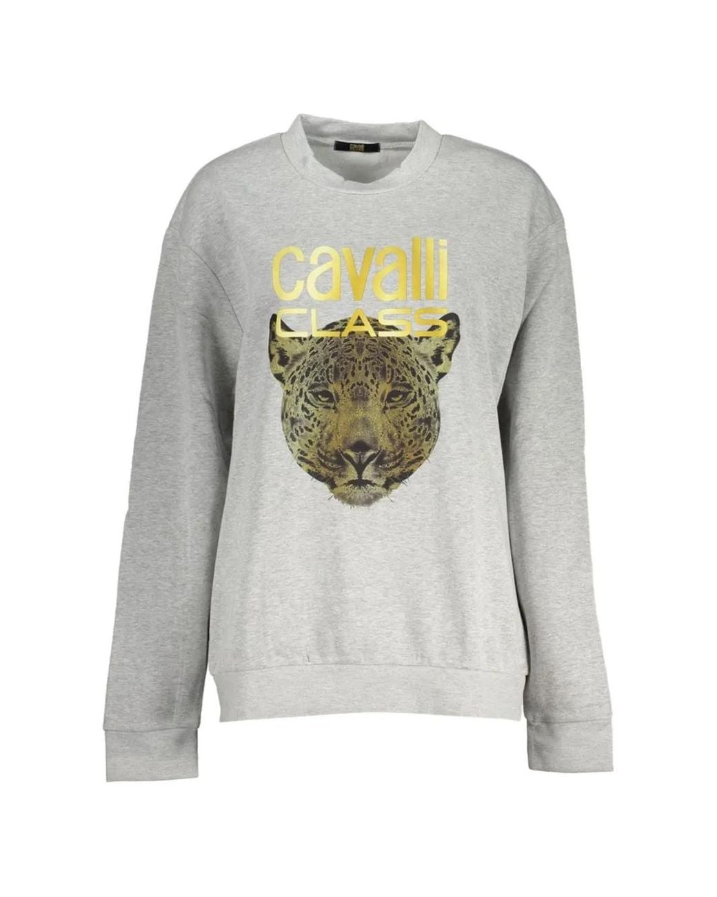 Roberto Cavalli Gray Sweat À Col Rond