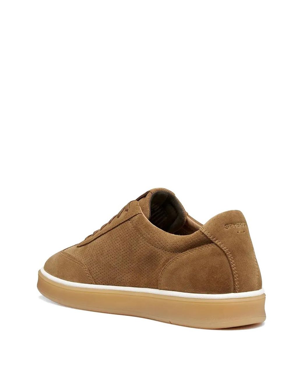 Geox Brown Spherica Actif X4 Perforated Lace-Up Sneakers for men
