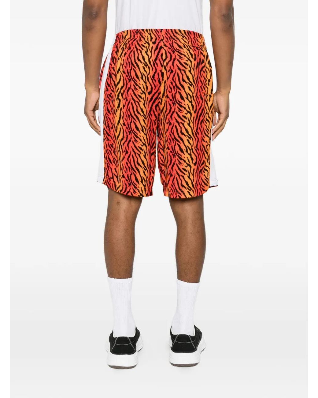 BLUE SKY INN Red Tiger-Print Side-Stripe Shorts for men
