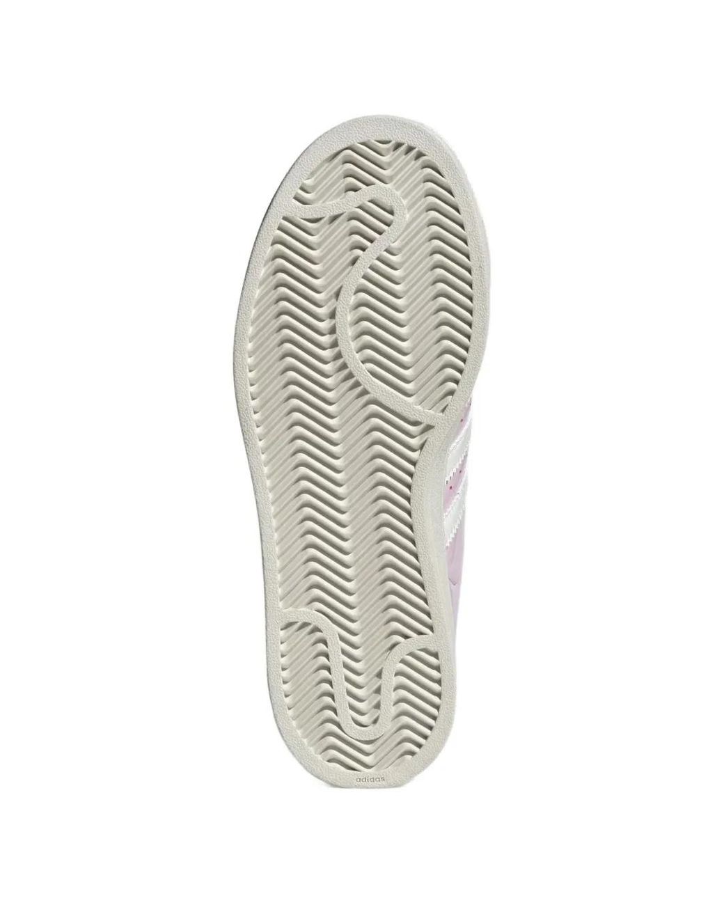 Adidas Pink Superstar Ii Lace-Up Sneakers
