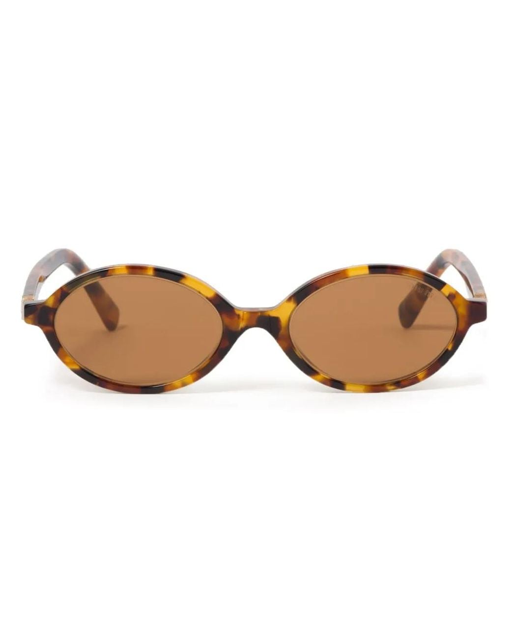 Miu Miu Brown Miu Regard Sunglasses