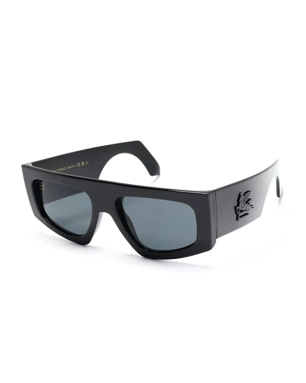 Etro Gray Screen Sunglasses