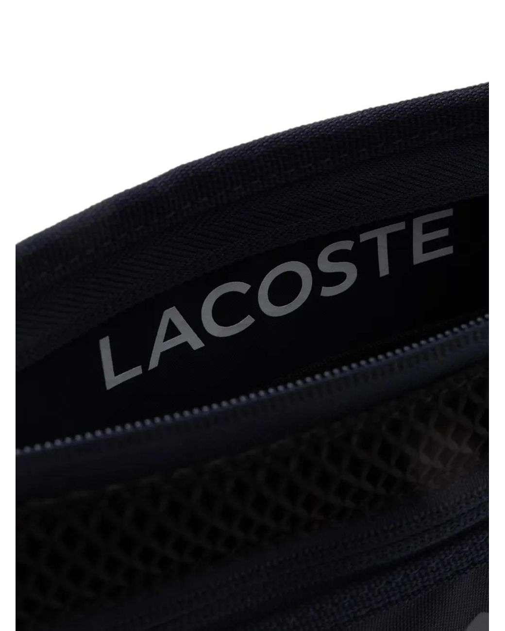 Lacoste Blue Play
