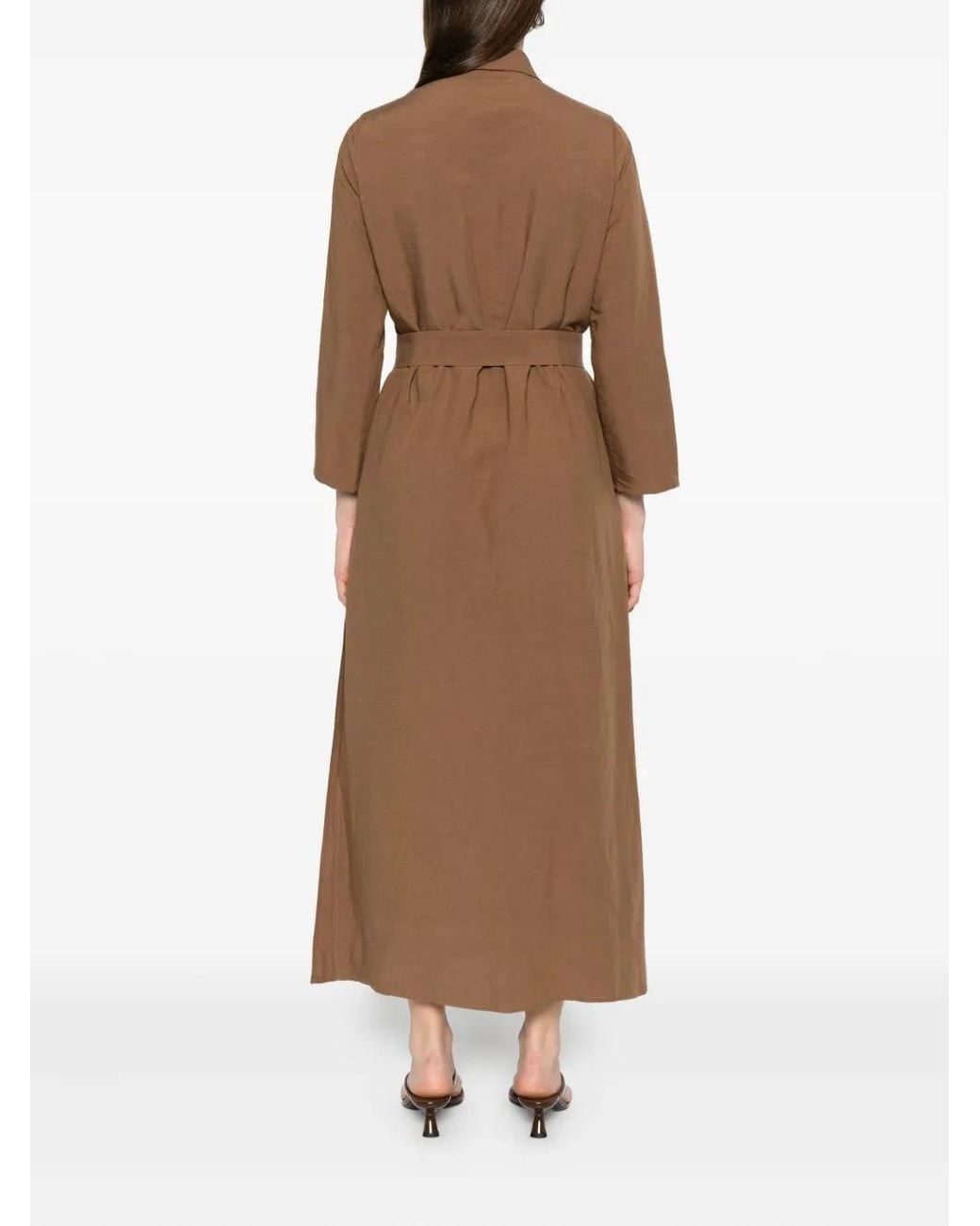 Blanca Vita Brown Belted Shirt Dress