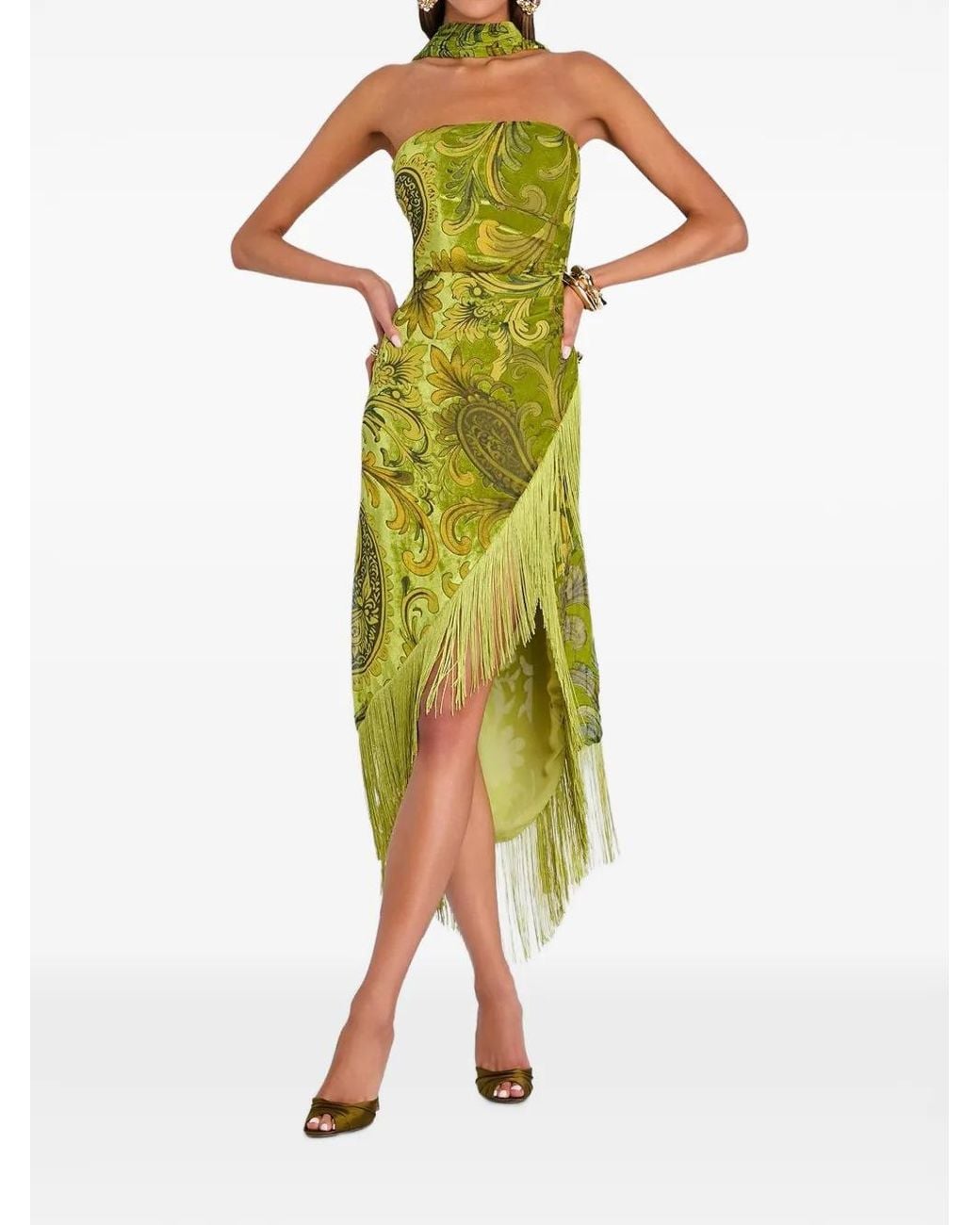 retroféte Green Statice Paisley-Burnout Velvet Dress