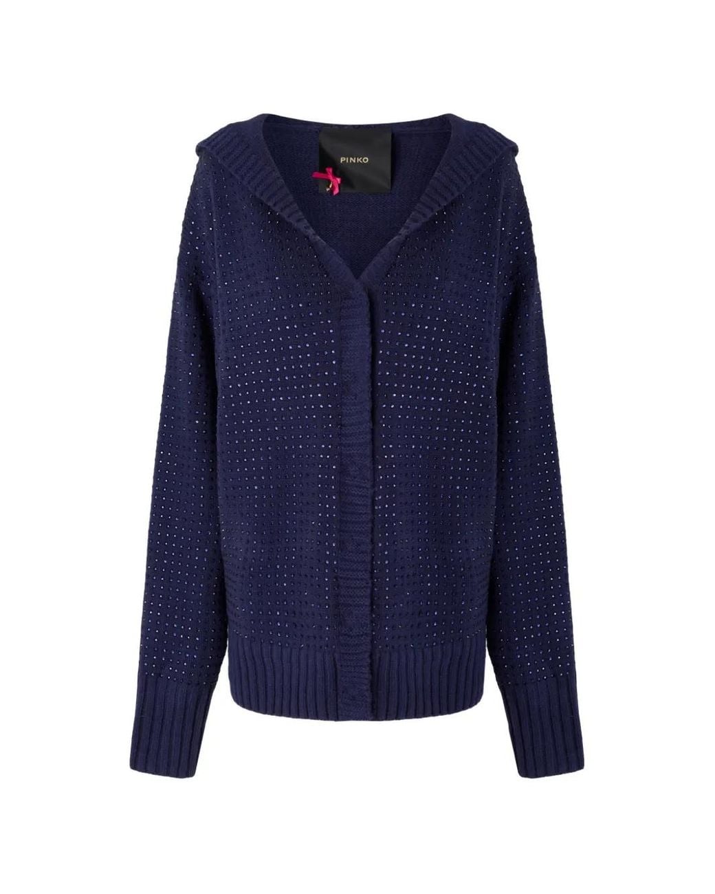 Pinko Blue Rhinestone-Embellished Hooded Cardigan