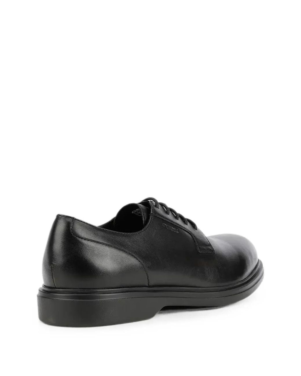 Geox Black Lace-Up Fastening Leather Derby Shoes for men