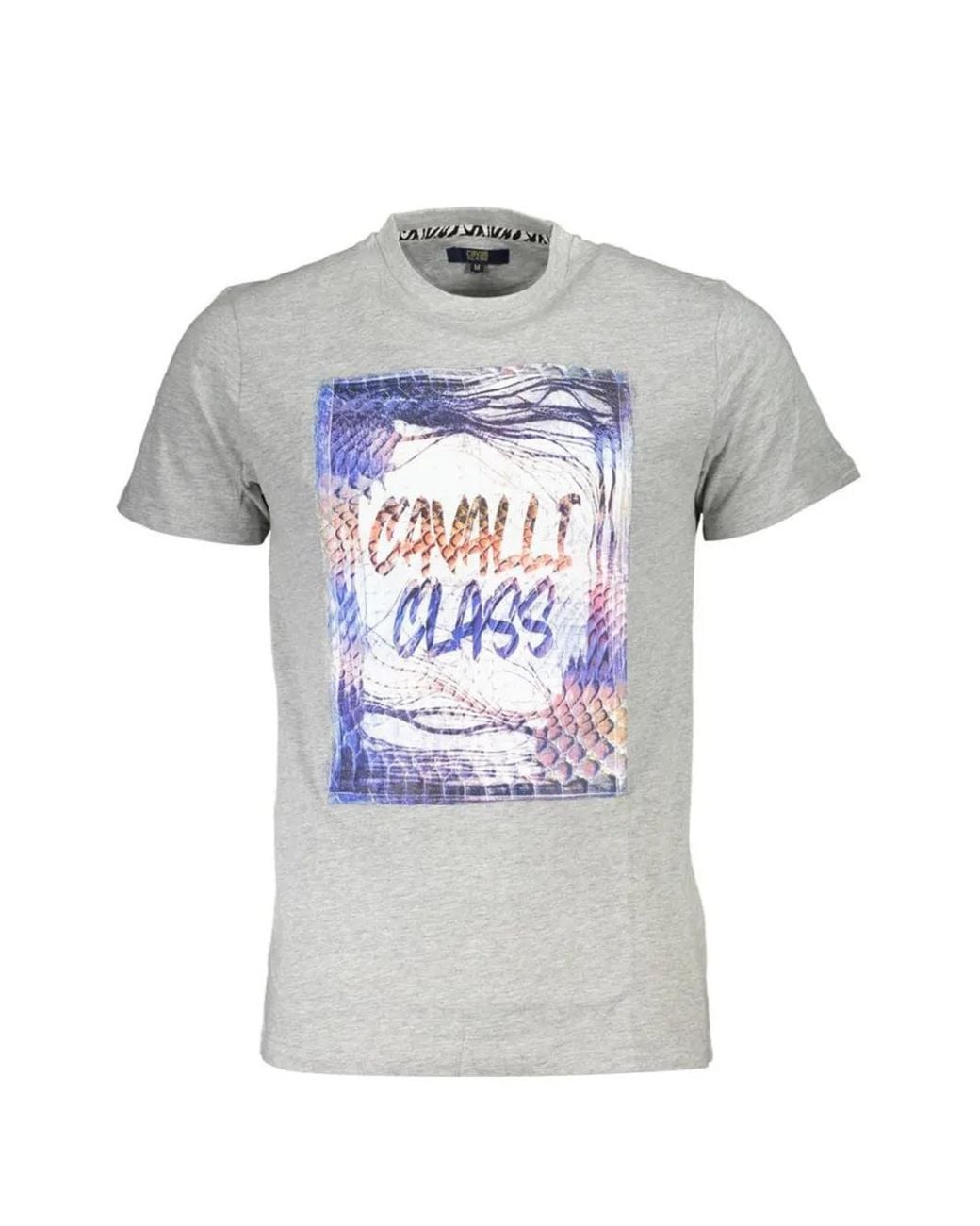 Roberto Cavalli Gray Graphic-Print T-Shirt for men