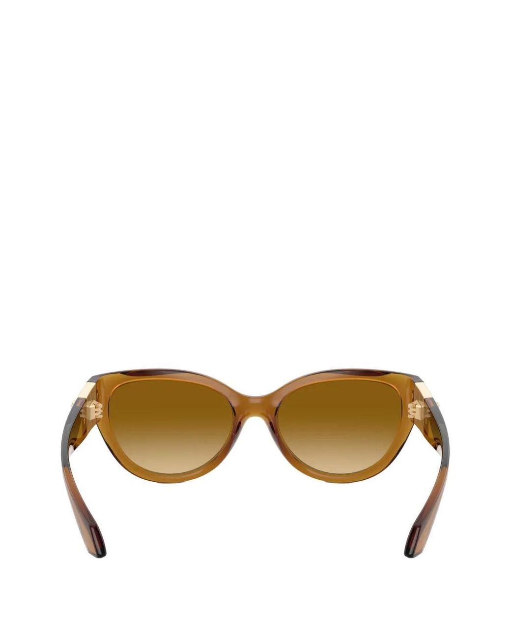 Versace Natural Medusa Cat-Eye Sunglasses