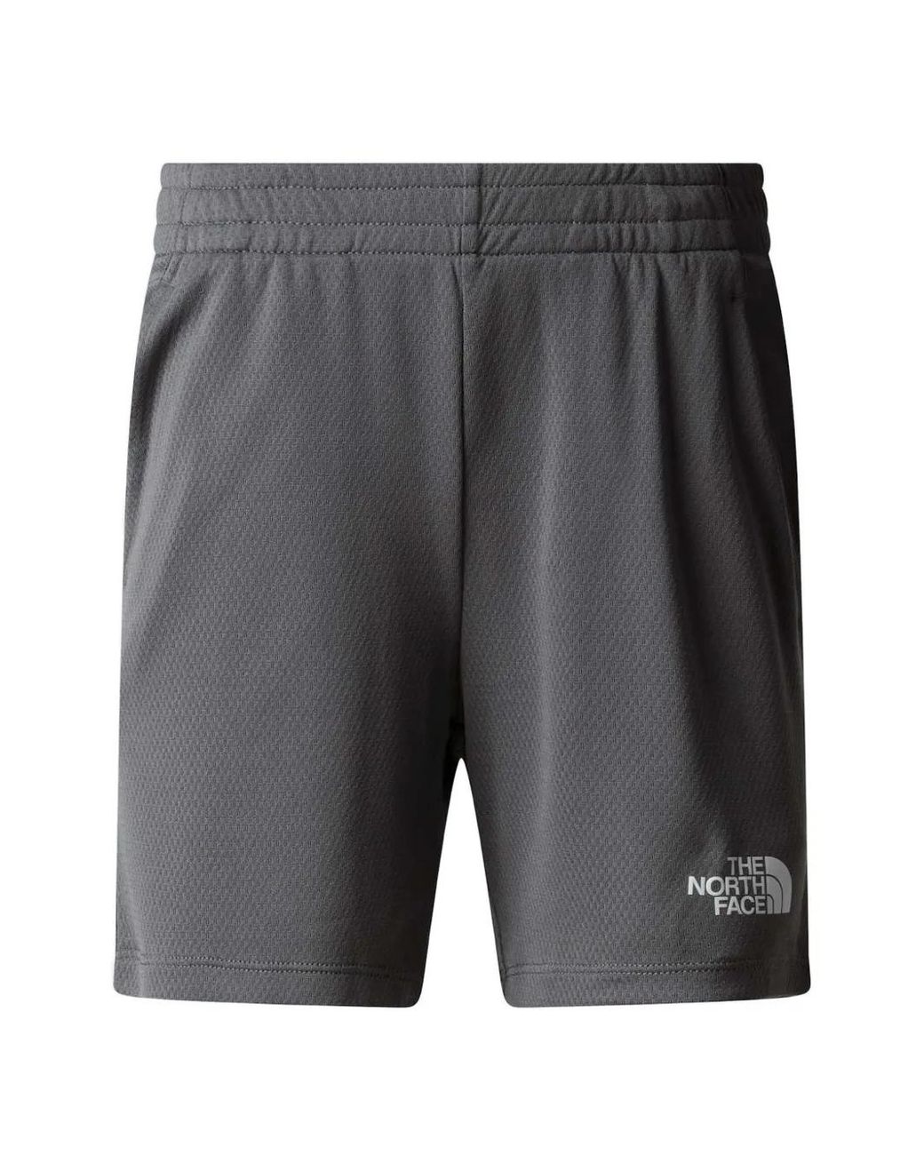 The North Face Gray Logo-Print Mesh Shorts for men