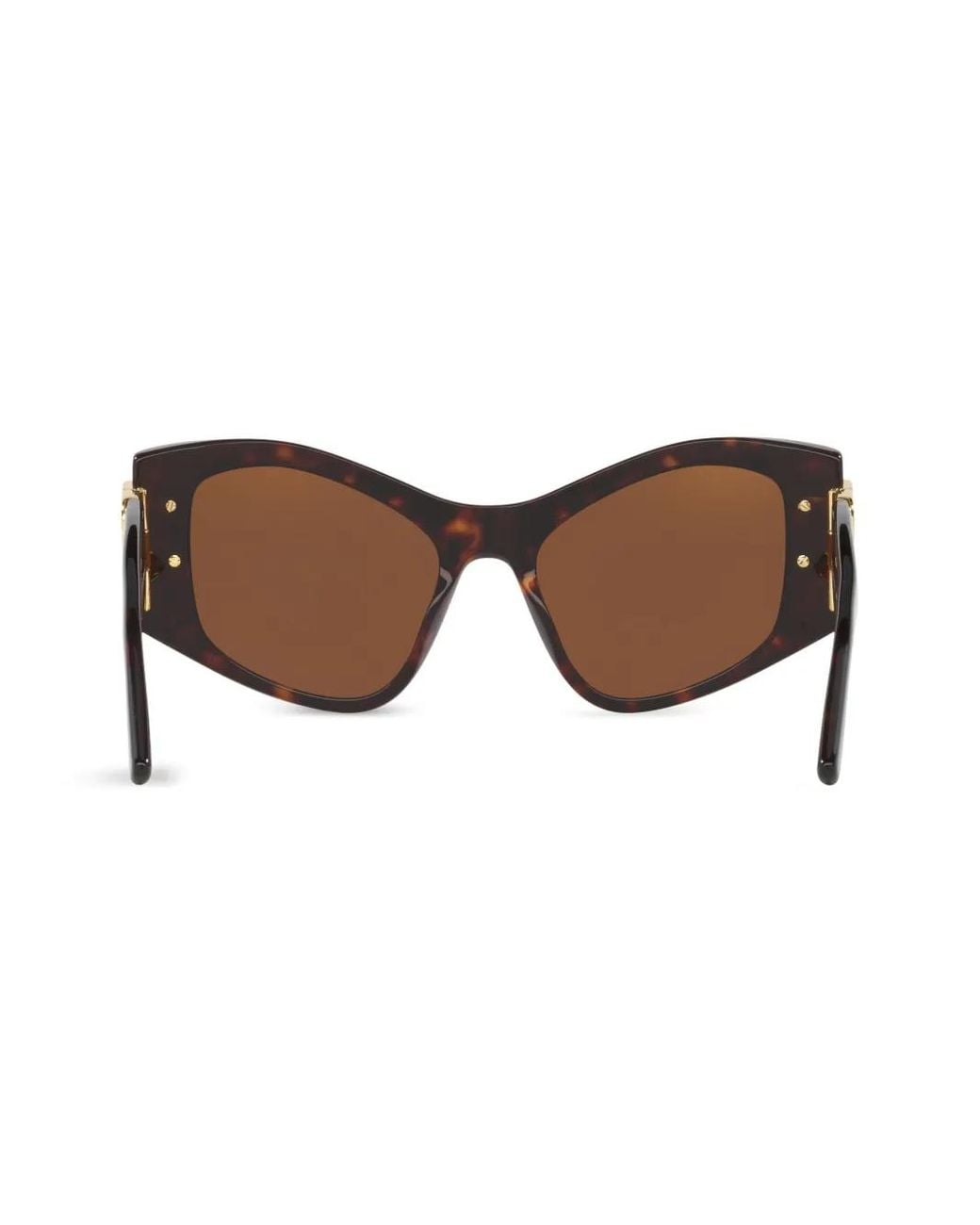 Balenciaga Brown Dynasty Xl D-Frame Sunglasses