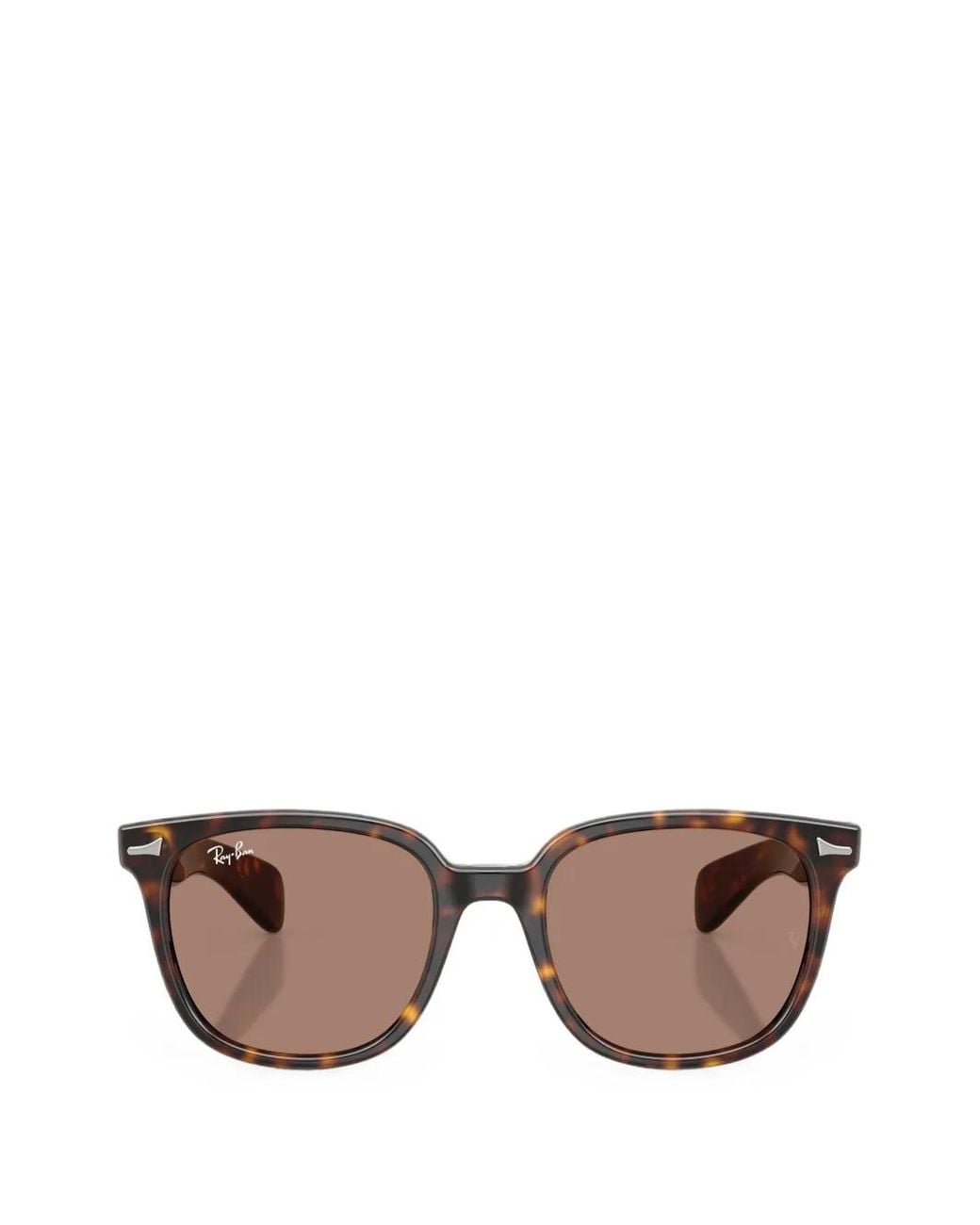 Ray-Ban Brown Brunel Ii Sunglasses