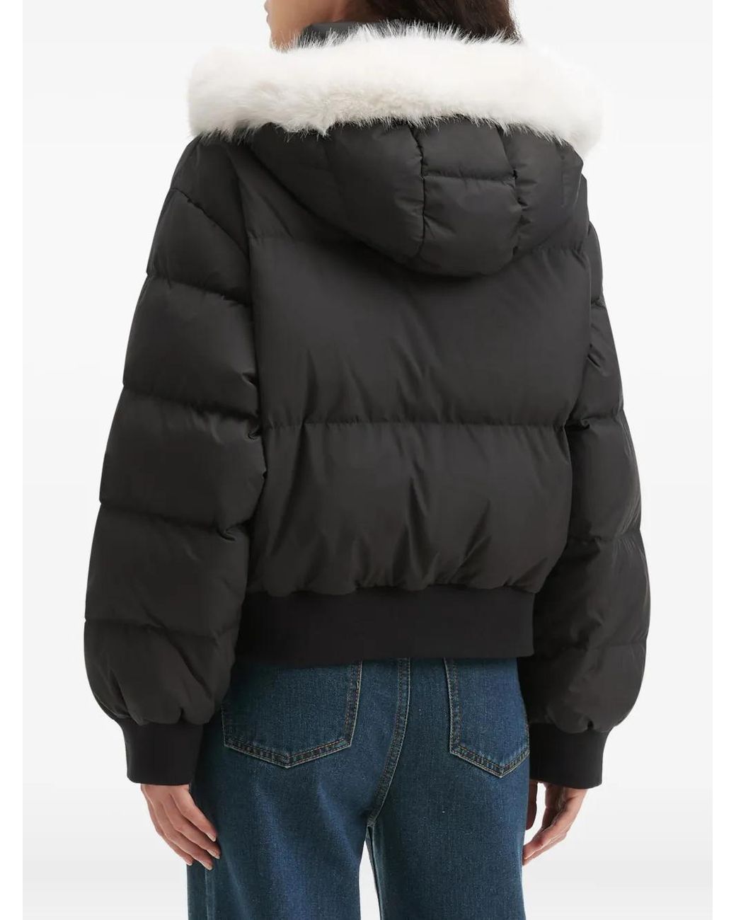 B+ AB Black Hooded Puffer Jacket