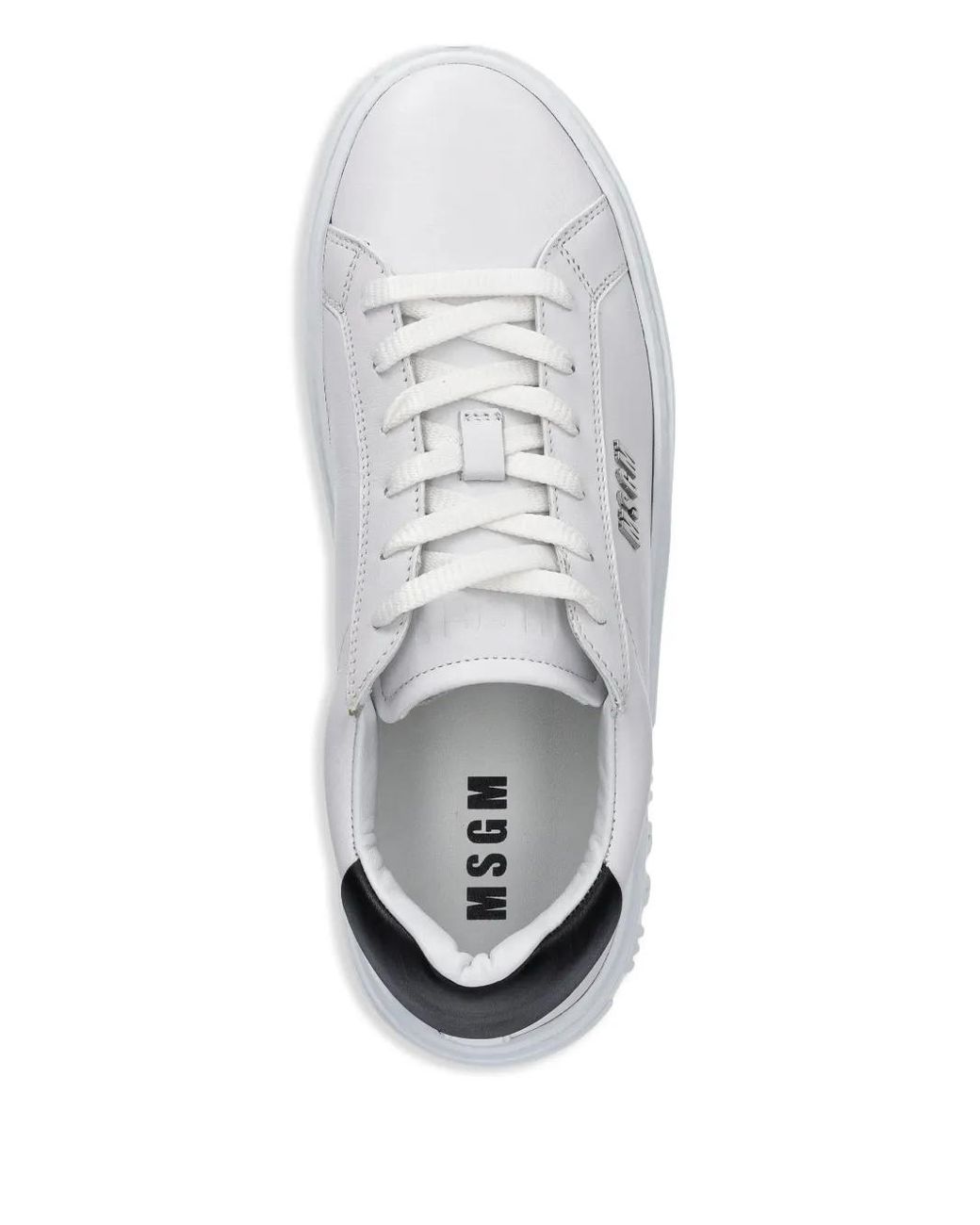 MSGM Sneakers Mit Logo-Schild in White für Herren