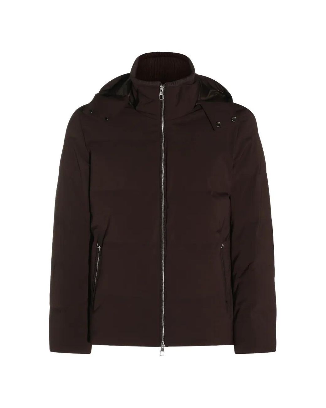 Montecore Brown Hooded Padded Jacket for men