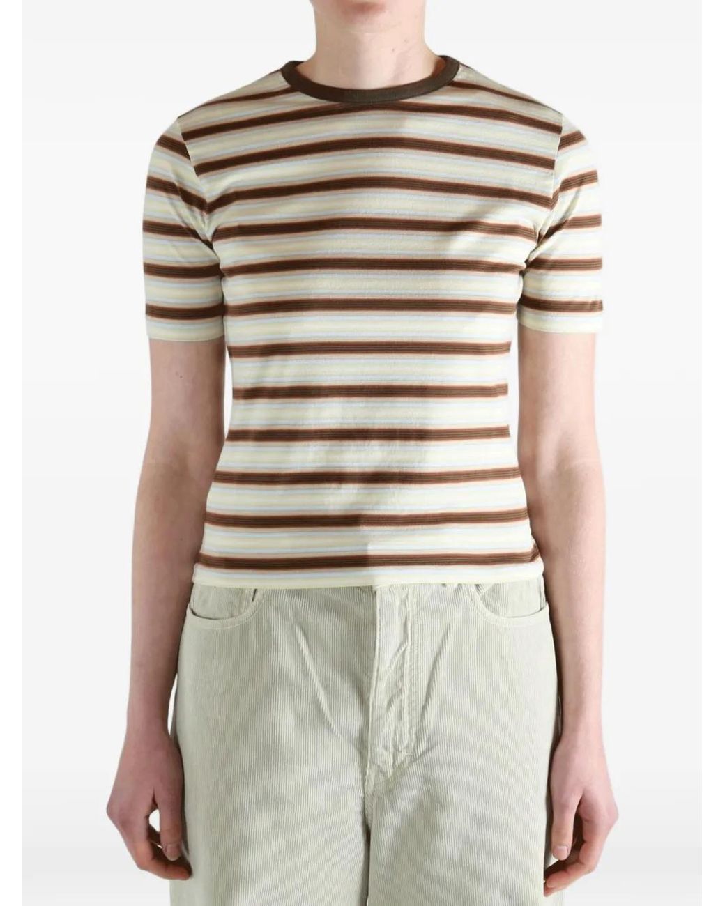 Auralee Brown Gradient Striped T-Shirt
