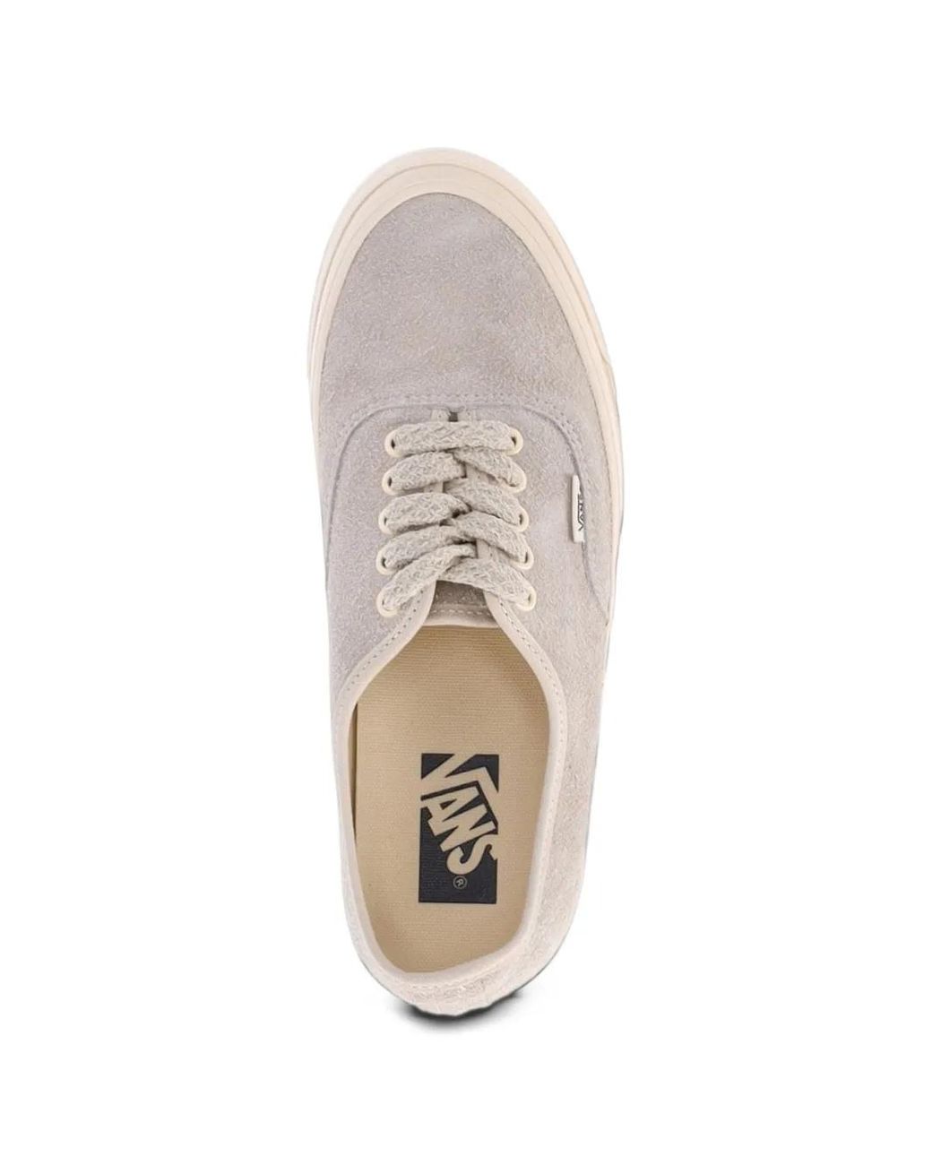 Sneakers Stringate di Vans in Gray