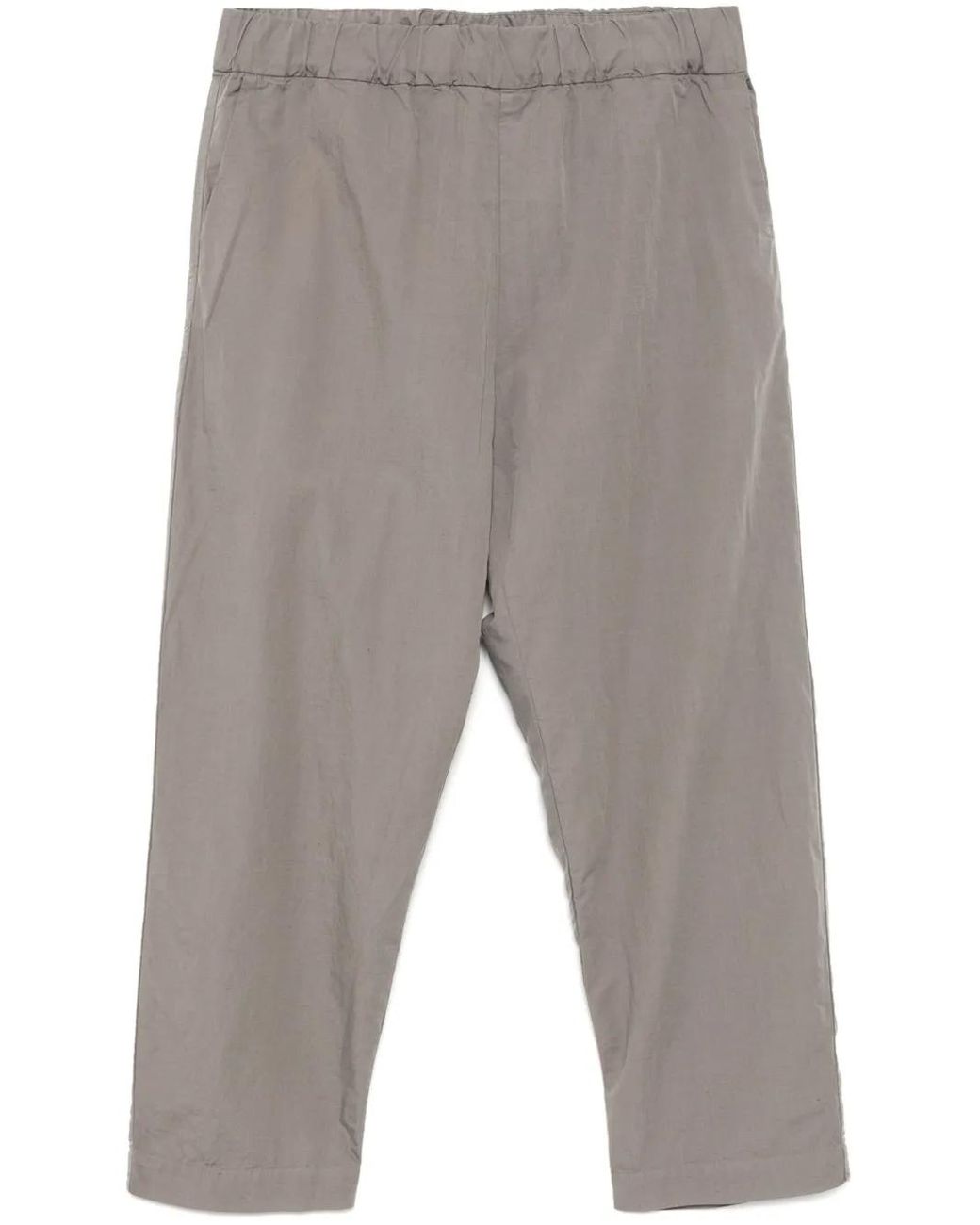 Casey Casey Gray Long Chasse Trousers for men