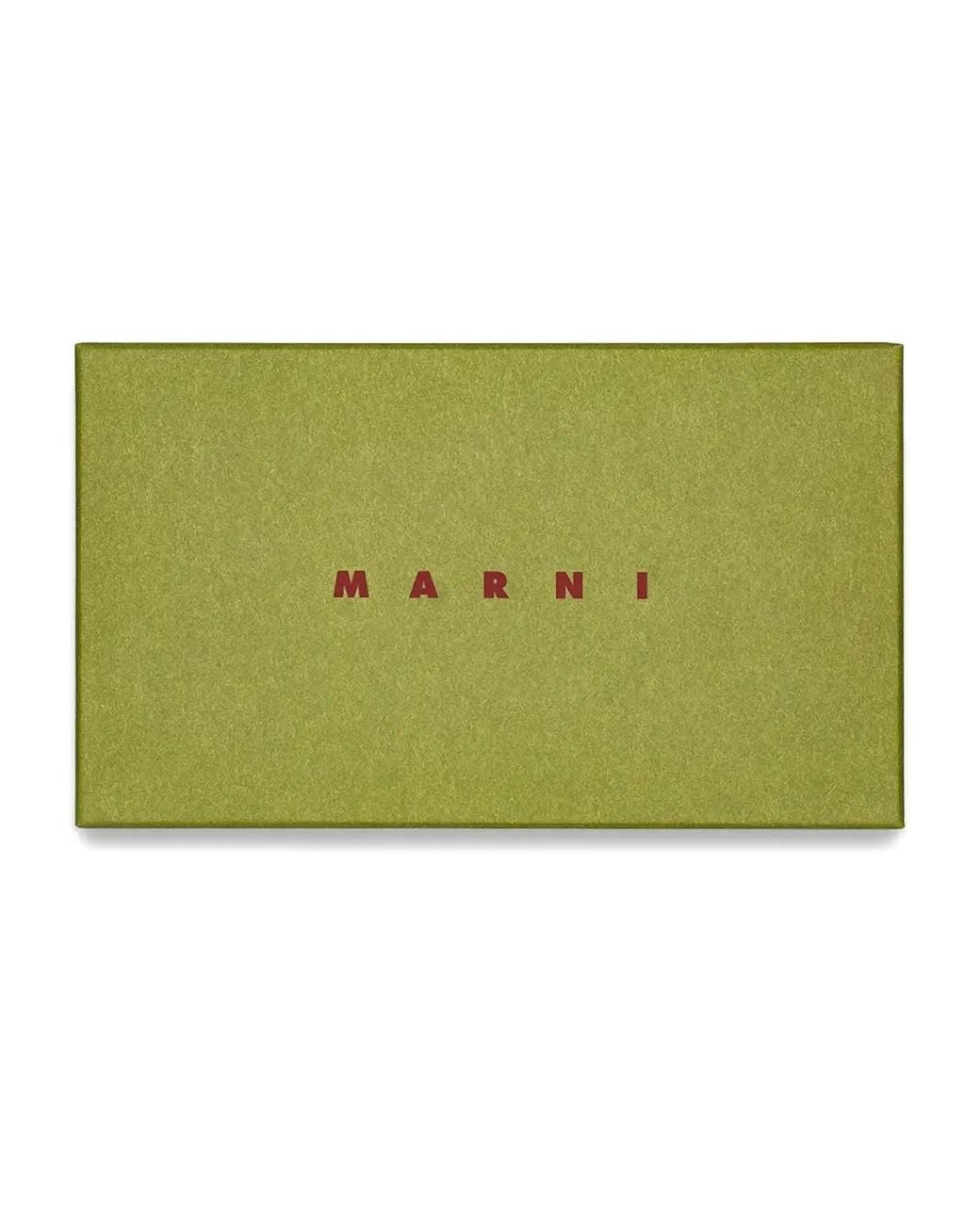 Marni Brown Ouzoud Oval-Frame Sunglasses