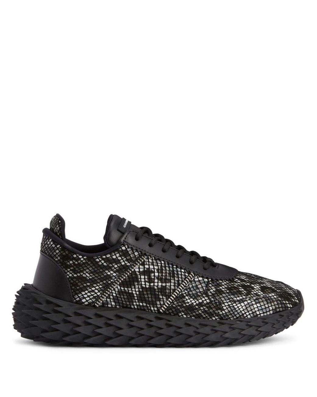 Giuseppe urchin shop