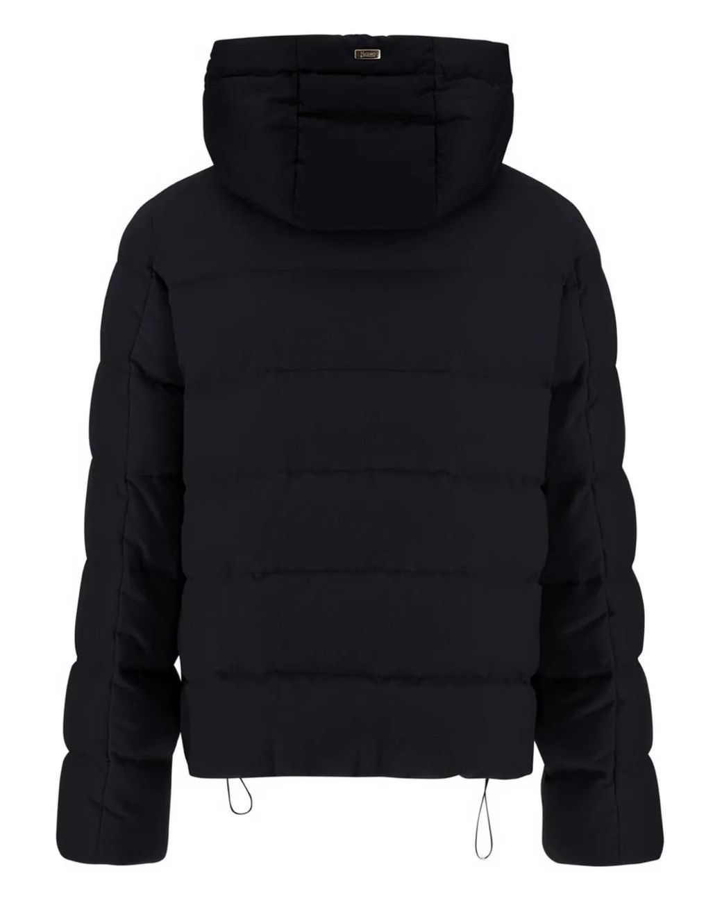 Herno Donsjack Met Capuchon in het Black