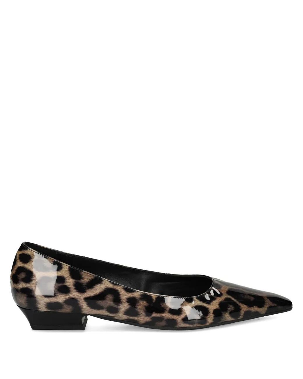 Ras Black Leopard-Print Pointed-Toe Pumps