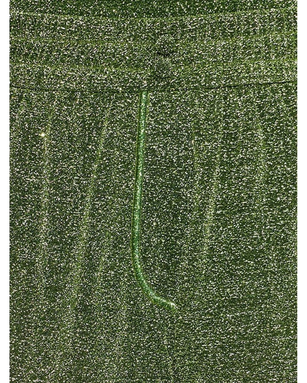 Oseree Green Drawstring Shimmer Shorts